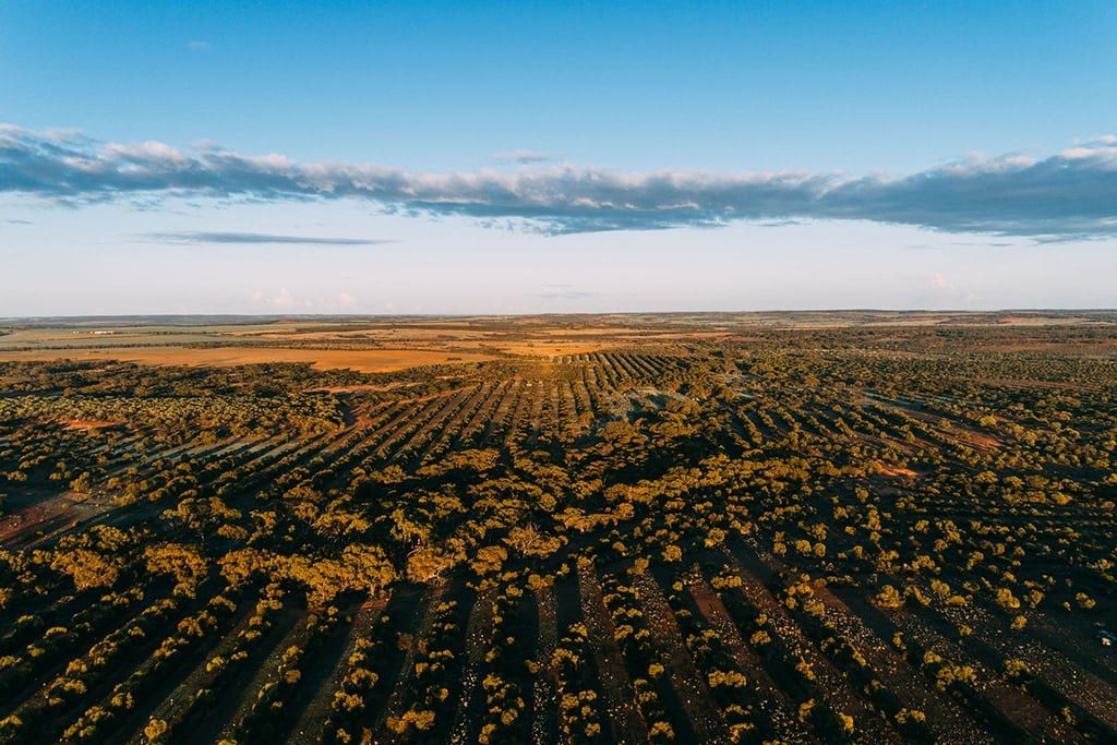 Carbon Neutral Drone Photo Ord 24